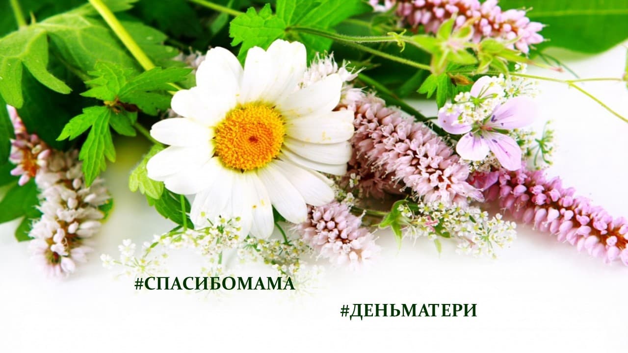 Интернет-челлендж «Спасибо Мама»