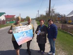 Подробнее о статье Акция «Журавли нашей памяти»