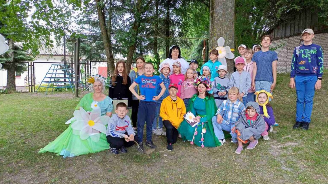 «В гостях у ромашки»