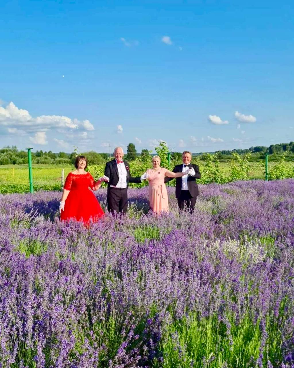 Вы сейчас просматриваете А вы когда нибудь танцевали в лаванде?)